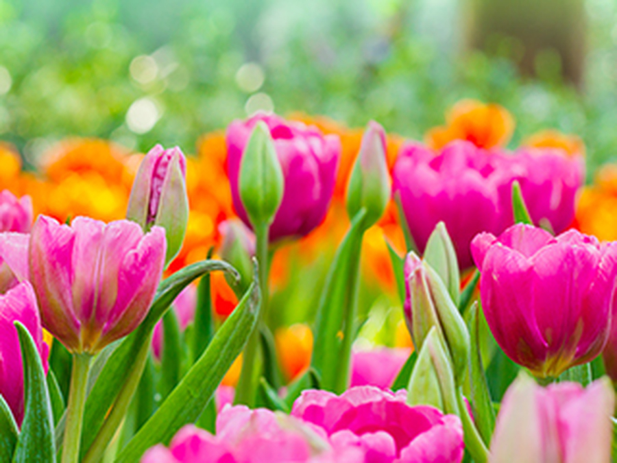 Loretta Stover Obituary MILESBURG, PA Dean K. Wetzler Funeral Home